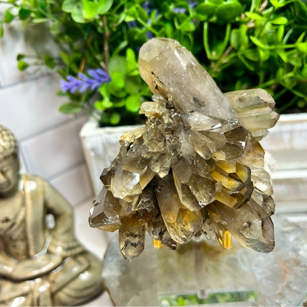 Stunning Smokey Quartz Cluster Gem Rock Collector